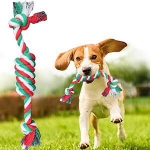 Experience the exciting joy of a young beagle puppy, energetically engaged in playtime with a vibrant rope toy! This captivating, lifelike display is an exquisite illustration found within our fundraising catalogs. It's perfect for your school or organization's holiday fundraiser and sure to bring smiles while boosting contributions!