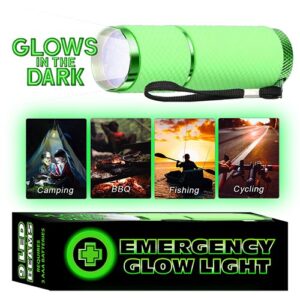 Presenting our vibrant green, glow-in-the-dark flashlight as featured in our exclusive fundraising catalog. This indispensable utility item serves multiple uses, ideal for camping trips, barbeques, fishing ventures and cycling escapades and is attractively showcased with its distinctive packaging included. Your holiday fundraisers will take on a new luminosity when you offer this exciting product to supporters! Help your school or organization sparkle whilst raising essential funds with us.